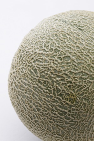 Melonの写真素材