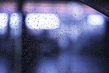 Neon lights on a rainy night