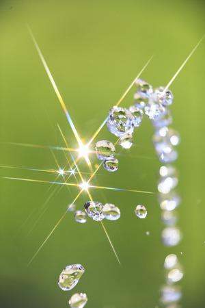 Water and lawn