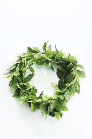 Leaves of artificial flowersの写真素材