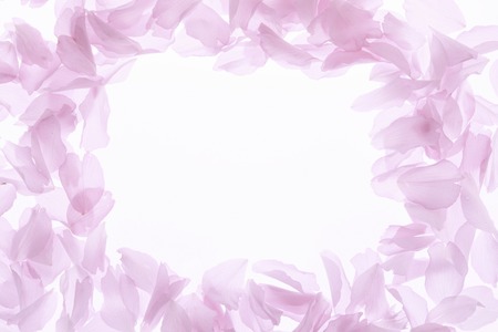 Blossom petal frameの写真素材