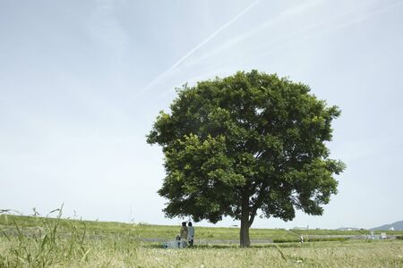 Meadow and treeの写真素材