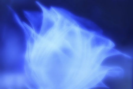 Glass objects of rose patternの写真素材