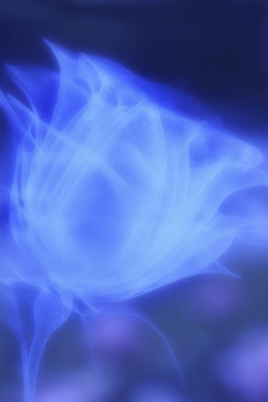 Glass objects of rose patternの写真素材