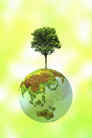 Globes and a tree