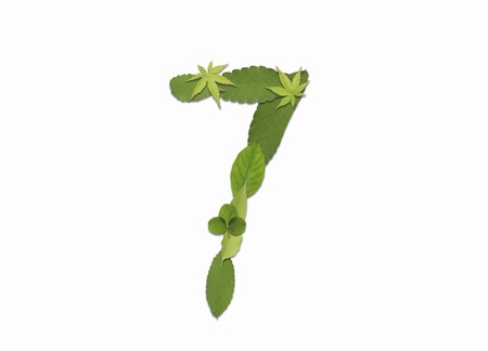 Number of leaves