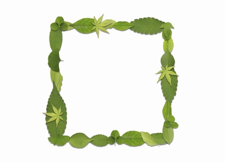 Leaf symbol