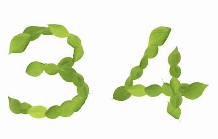 Number of leaves