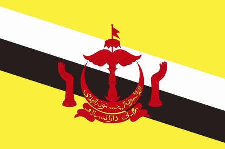 Flag of Bruneiの写真素材