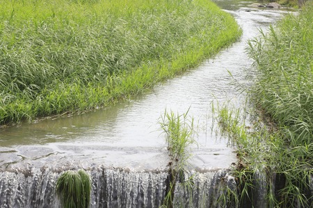 Irrigation canals