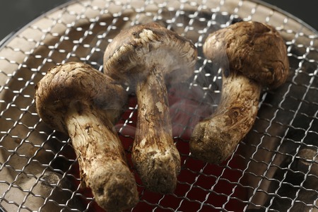 Grilled mushroomsの写真素材