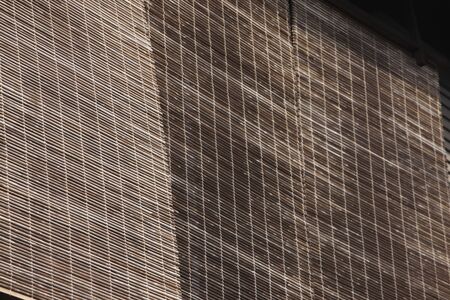 Bamboo