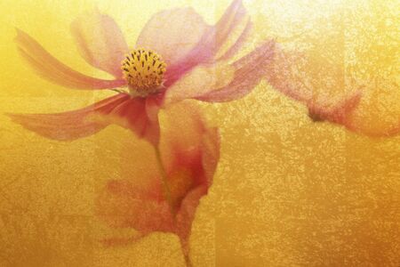 Gold folding screen and a cosmos of backgroundの写真素材