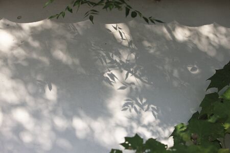 Kurashiki bikan areaの写真素材