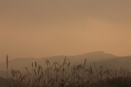 From the Akiyoshi plateau mountainsの写真素材