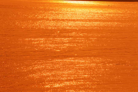 Mukojima seaの写真素材