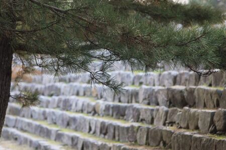 Hagi Castleの写真素材