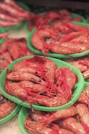 Red shrimpの写真素材