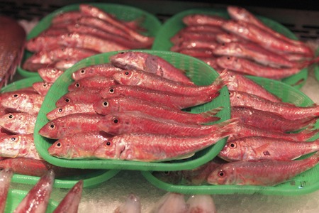 Fish, Kintaro