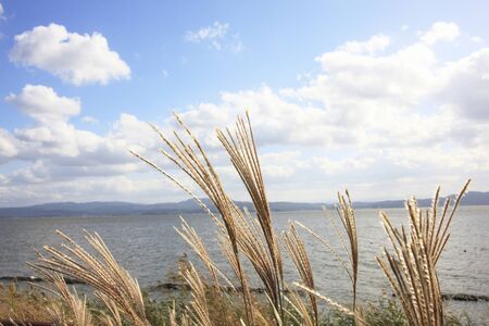 Views from Lake Shinji 431 Hwy