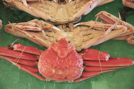 Tottori-Ken Matsuba crab