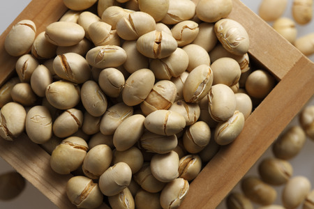 Beans beansの写真素材