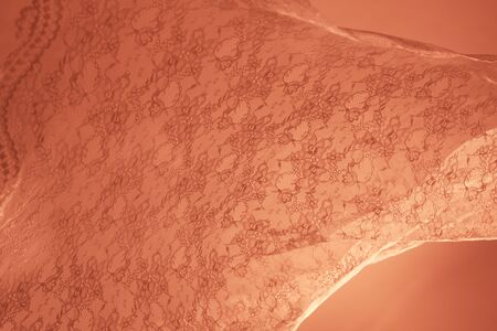 Swaying cloth, laceの写真素材