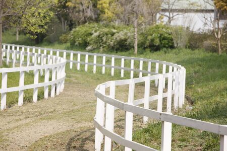 Road of white fence