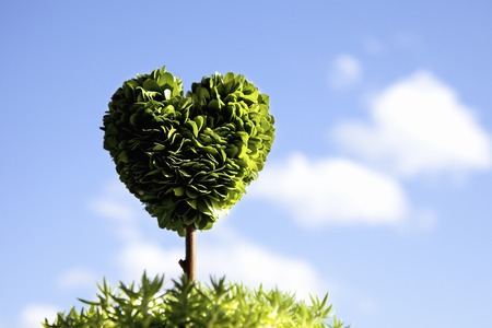 Heart of Uekiの写真素材