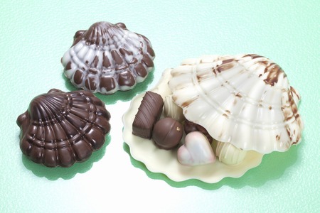 Shells of chocolate gift
