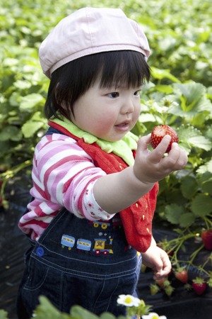 Strawberry hunting infant shotの写真素材