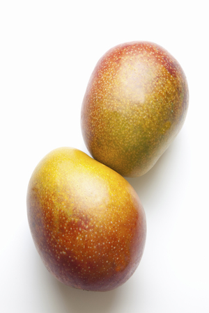 Mangoの写真素材