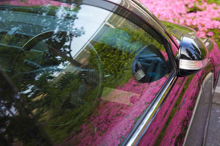 Kirishima reflected on the vehicle body azaleaの写真素材