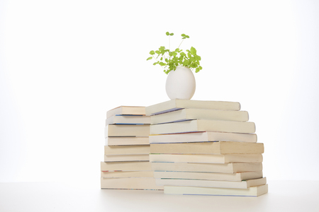 Books and Egg Plantsの写真素材