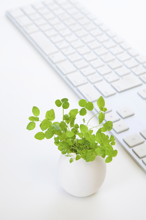 Keyboard and Egg Plantsの写真素材