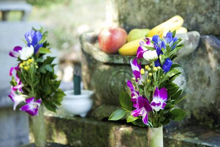 Your graveの写真素材