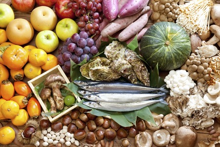 Autumn taste group photoの写真素材