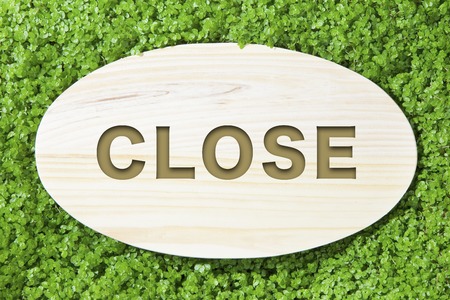 Closed board of sprout backgroundの写真素材