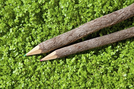 The colored pencil to sprout background twigの写真素材