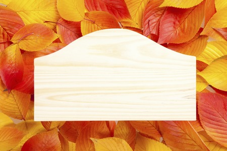 The wooden board in fallen leaves background