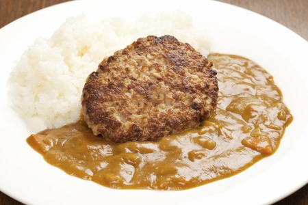 Hamburger Curryの写真素材