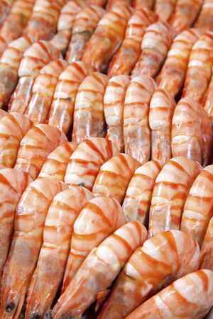A lot of shrimpの写真素材