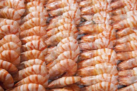 A lot of shrimpの写真素材