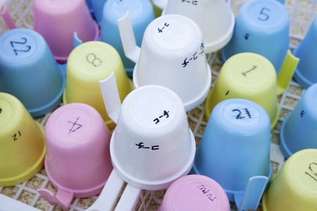 Cup of influenza preventionの写真素材