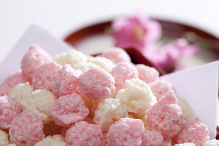 Chick Hail up ofの写真素材