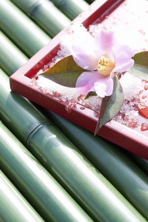 Wabisukeの写真素材