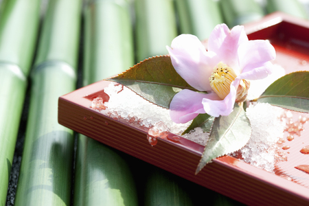 Wabisukeの写真素材