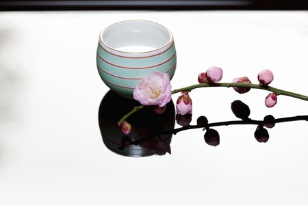 Plum blossom and Tea Cup