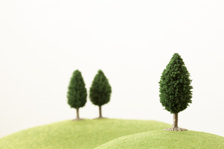 Grass and treesの写真素材