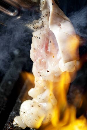 Abomasumの写真素材